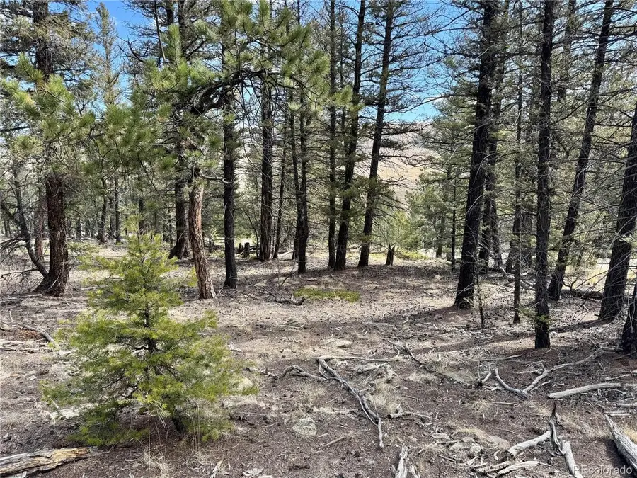 2601 Redhill Rd, Fairplay, CO 80440 - #3