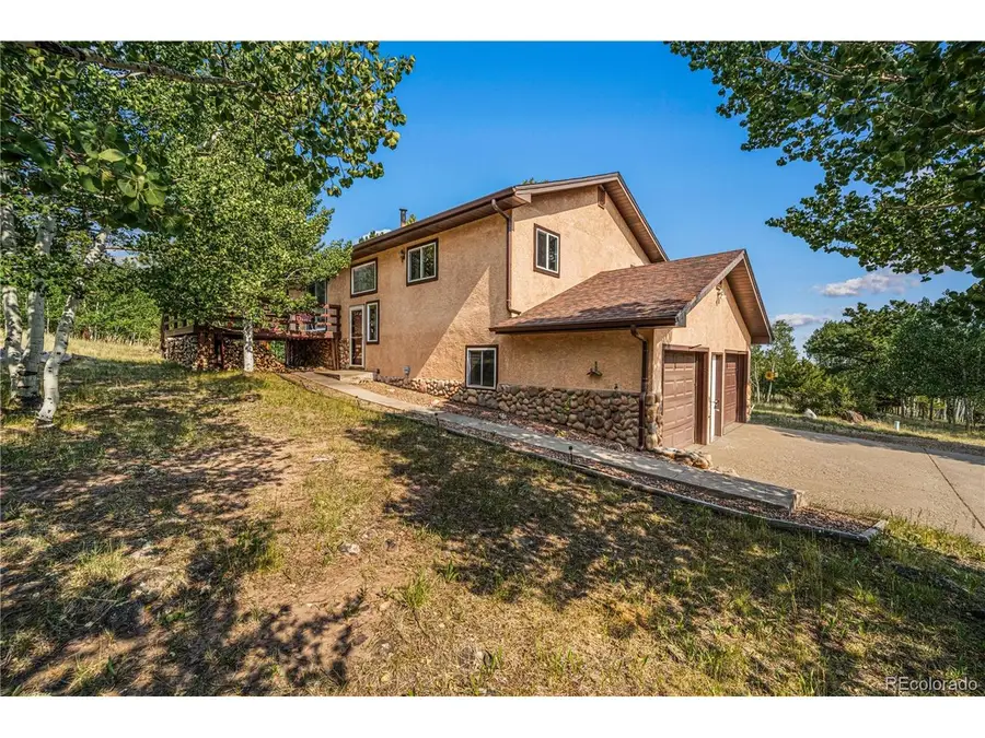206 Little Horn Rd, Westcliffe, CO 81252 - #3