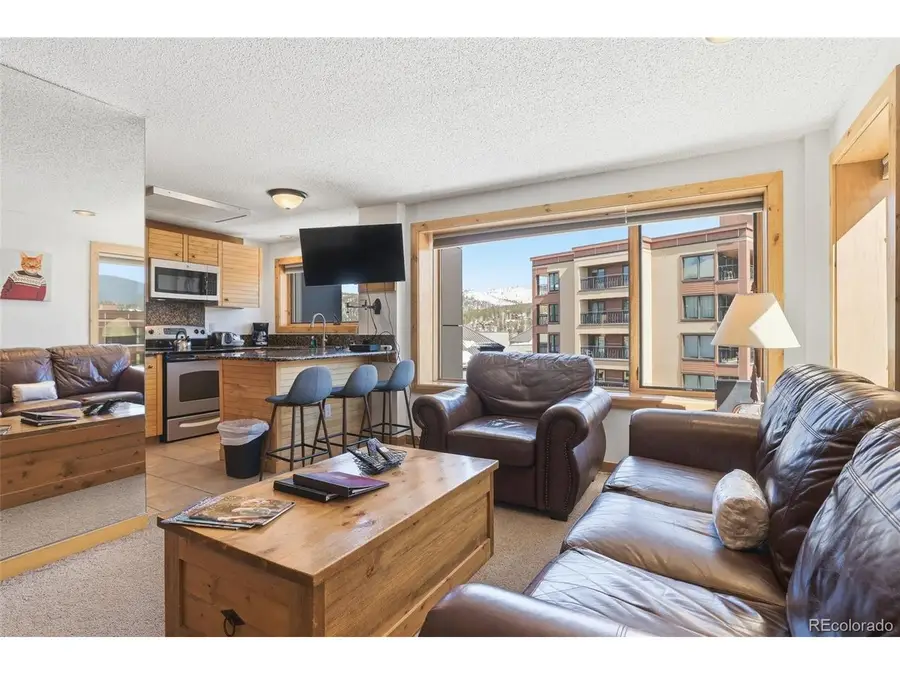 535 S Park Ave #4-505, Breckenridge, CO 80424 - #3