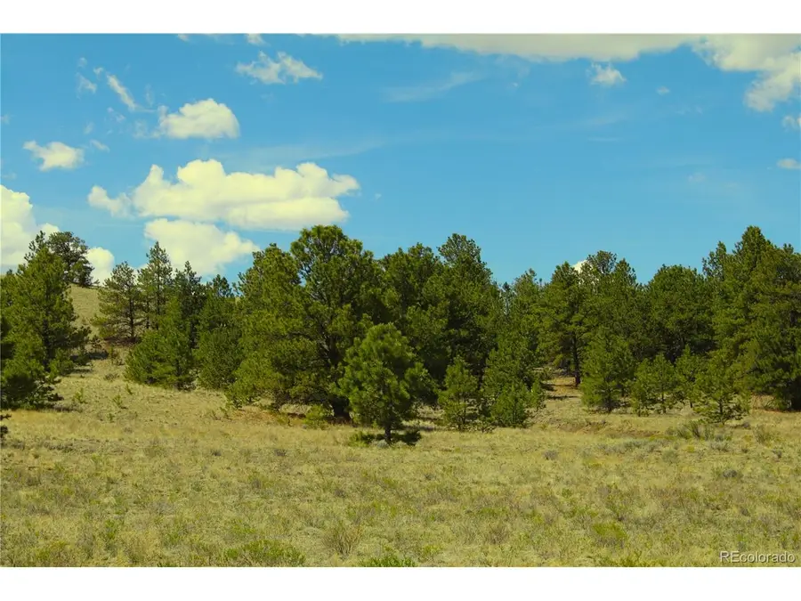 Address Withheld By Seller, Hartsel, CO 80449 - #2