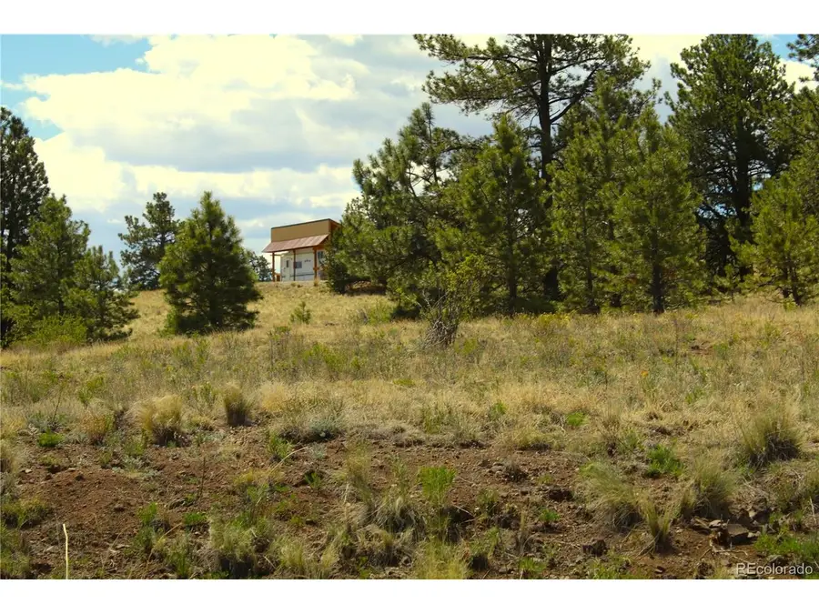 Address Withheld By Seller, Hartsel, CO 80449 - #3
