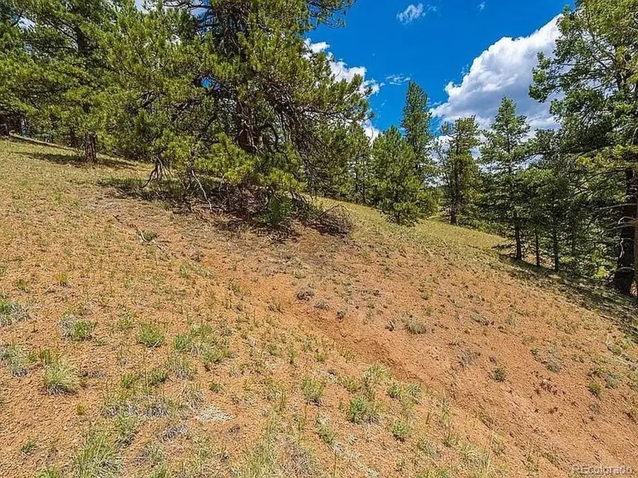 1053 Gold King Dr, Cripple Creek, CO 80813 - #3