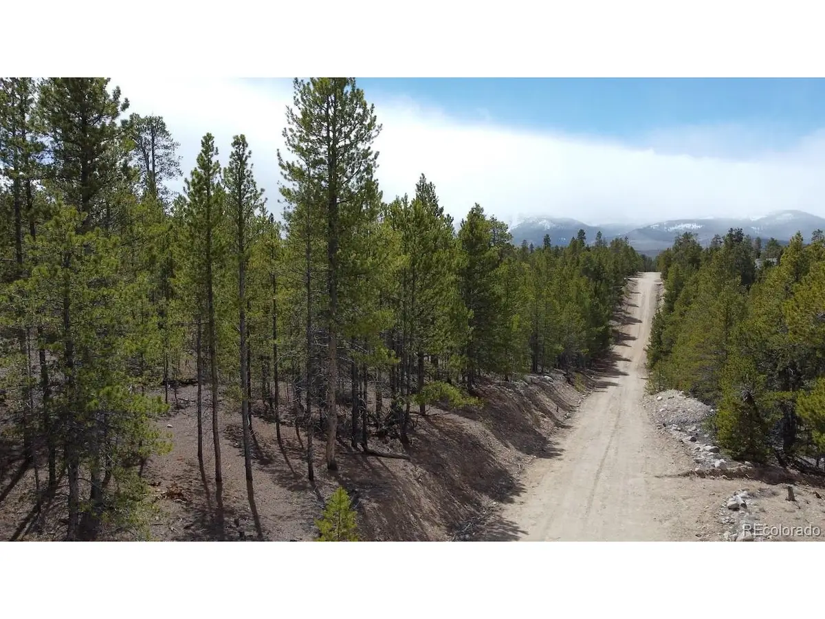 104 Spruce Dr, Twin Lakes, CO 81251 - #1