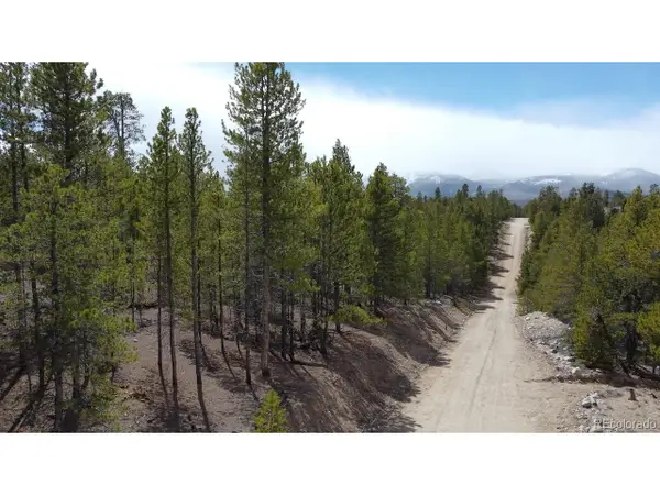 104 Spruce Dr, Twin Lakes, CO 81251