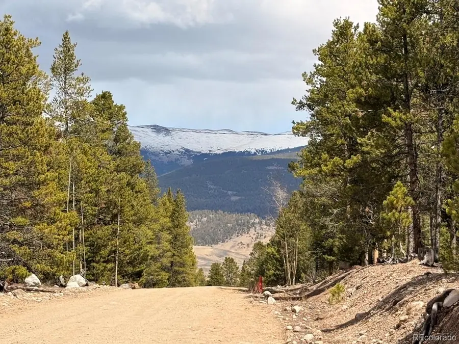 104 Spruce Dr, Twin Lakes, CO 81251 - #2
