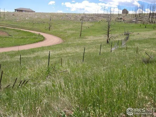 64 Bobcat Mountain Ct, Livermore, CO 80536 - Image #1