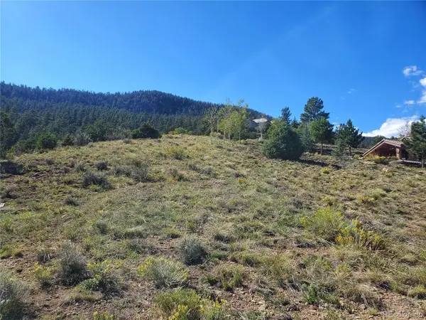 120 Fairway Ridge Ln, South Fork, CO 81154