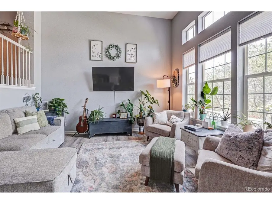 1458 Nemrick Pl, Castle Rock, CO 80109 - #3