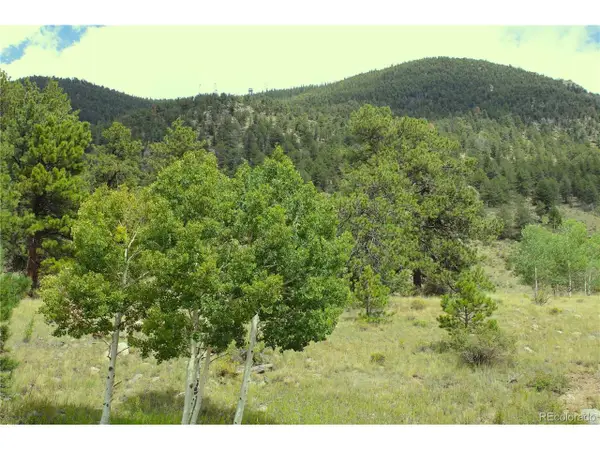 Hwy 24, Hartsel, CO 80827