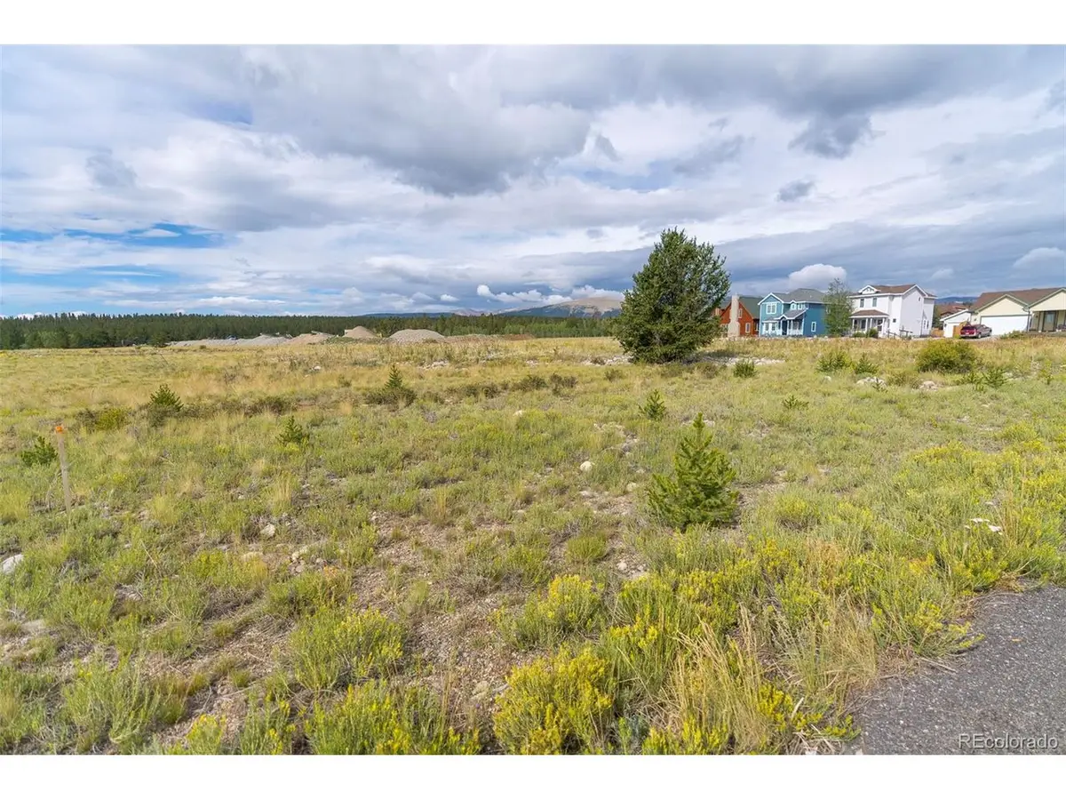 1 Platte Dr, Fairplay, CO 80440 - #1
