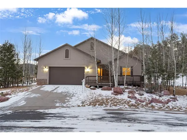 1157 Ptarmigan Dr, Woodland Park, CO 80863