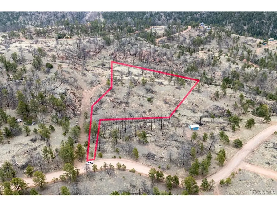 144 Chapparal Trl, Florissant, CO 80816 - #2