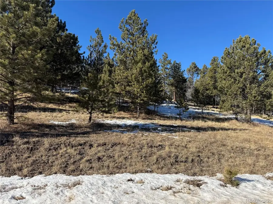 91 Hidden Valley Dr, Florissant, CO 80816 - Image #2