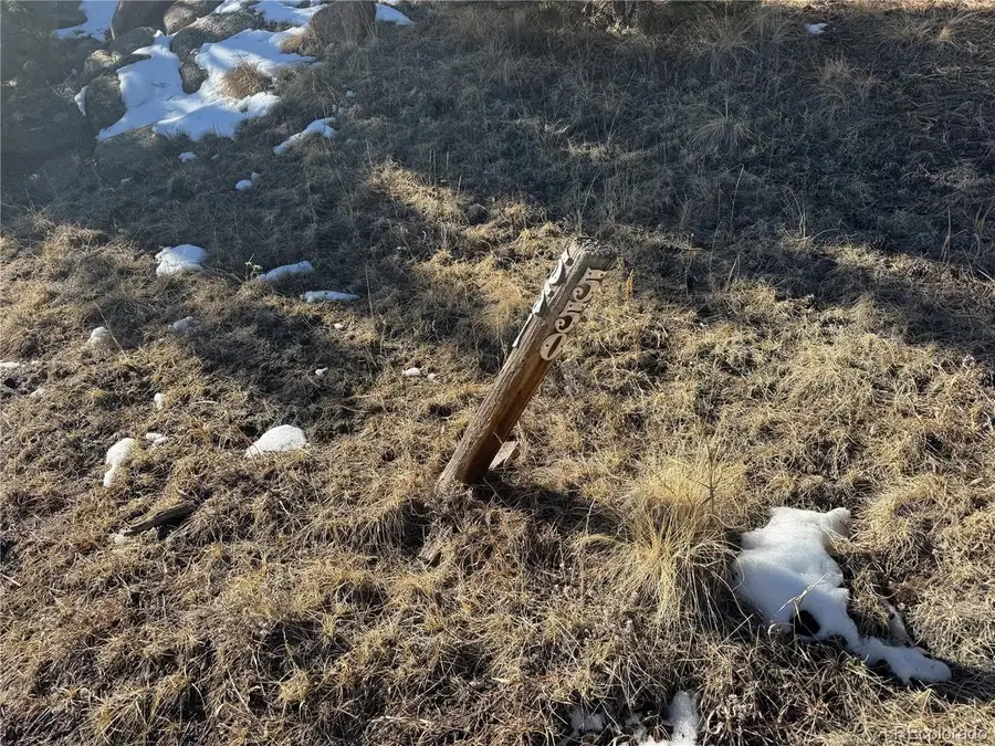 91 Hidden Valley Dr, Florissant, CO 80816 - Image #3