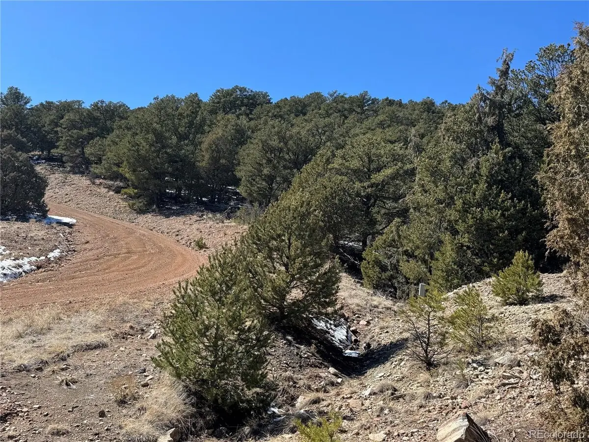 1114 Kevin Dr, Cotopaxi, CO 81223 - #1