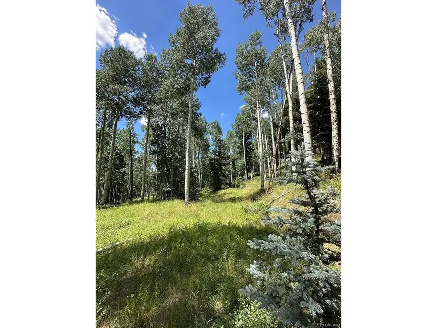 7 Calkins St, Jasper, CO 81132 - #2