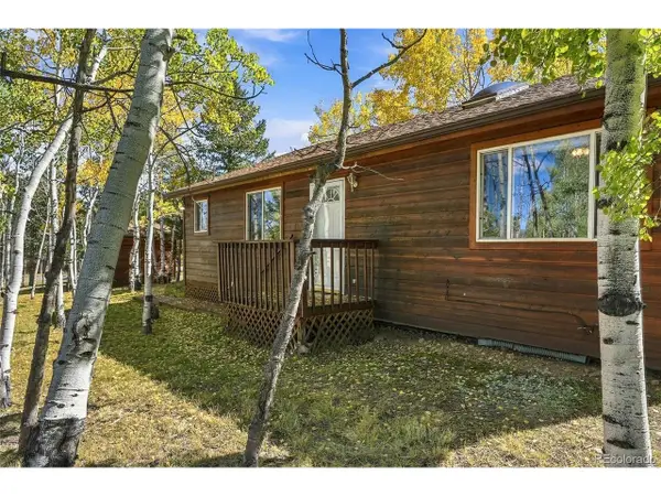 533 Burland Dr, Bailey, CO 80421