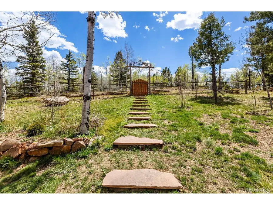 153 Moss Rock Ct, Divide, CO 80814 - #3