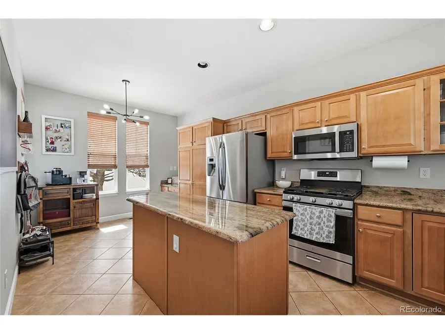 10559 Jewelberry Trl, Highlands Ranch, CO 80130 - #3
