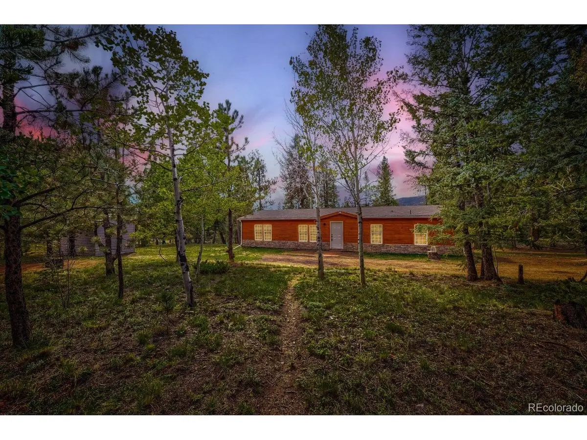 580 Forest Dr, Bailey, CO 80421 - #1
