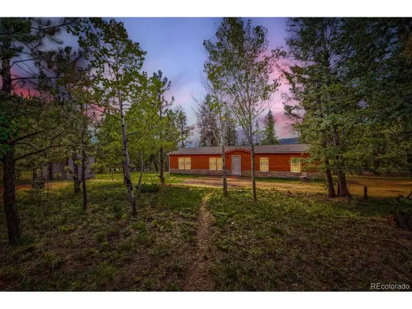 580 Forest Dr, Bailey, CO 80421