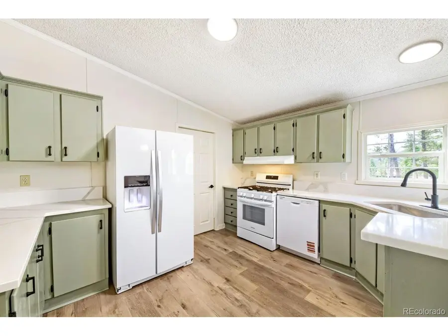 580 Forest Dr, Bailey, CO 80421 - #3