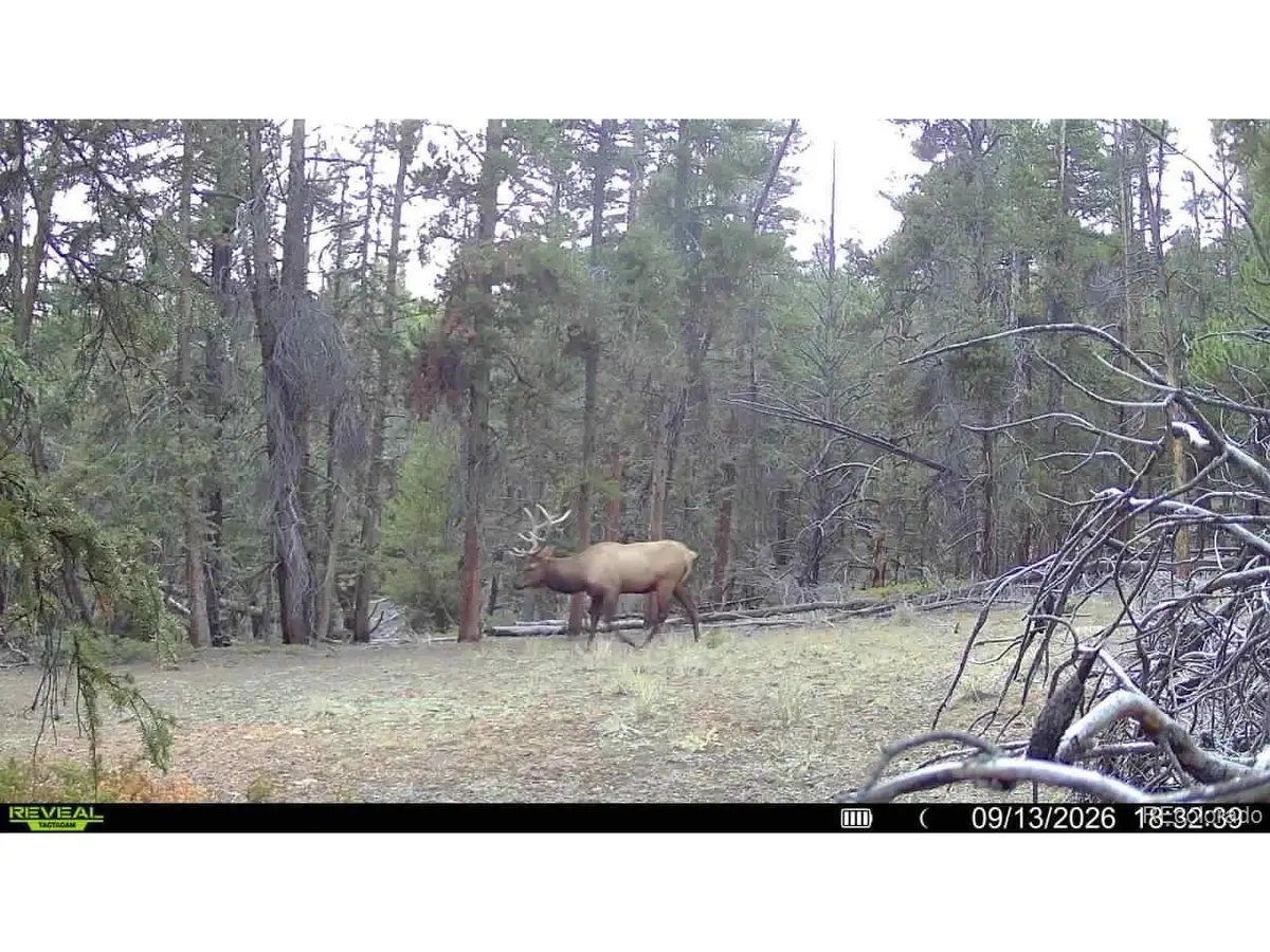 Ten High Ln, Alma, CO 80420 - #1