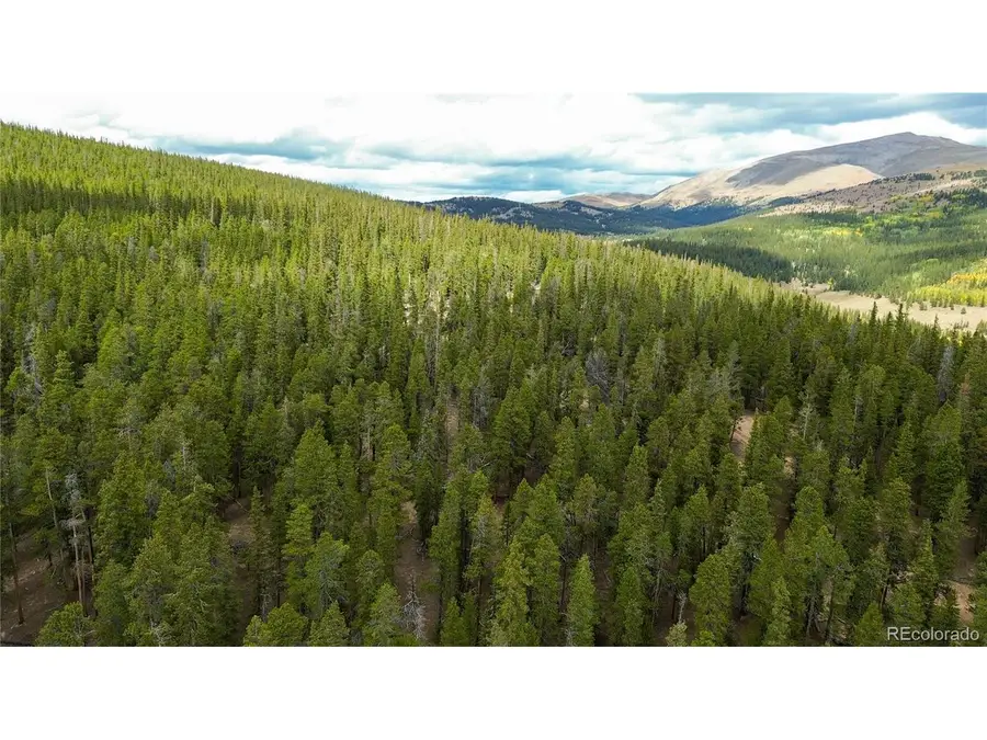 Ten High Ln, Alma, CO 80420 - #3