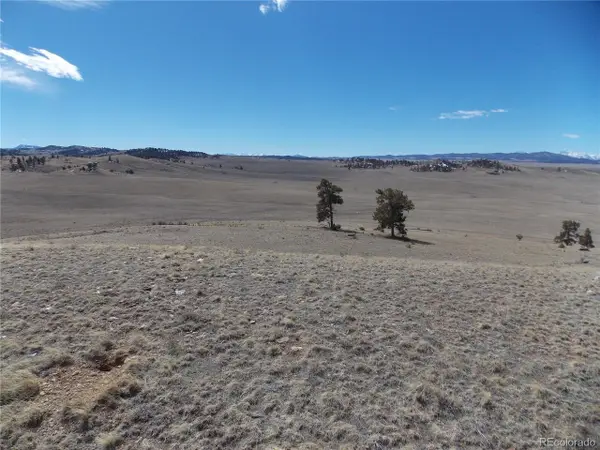 5795 Guipago Trl, Hartsel, CO 80449