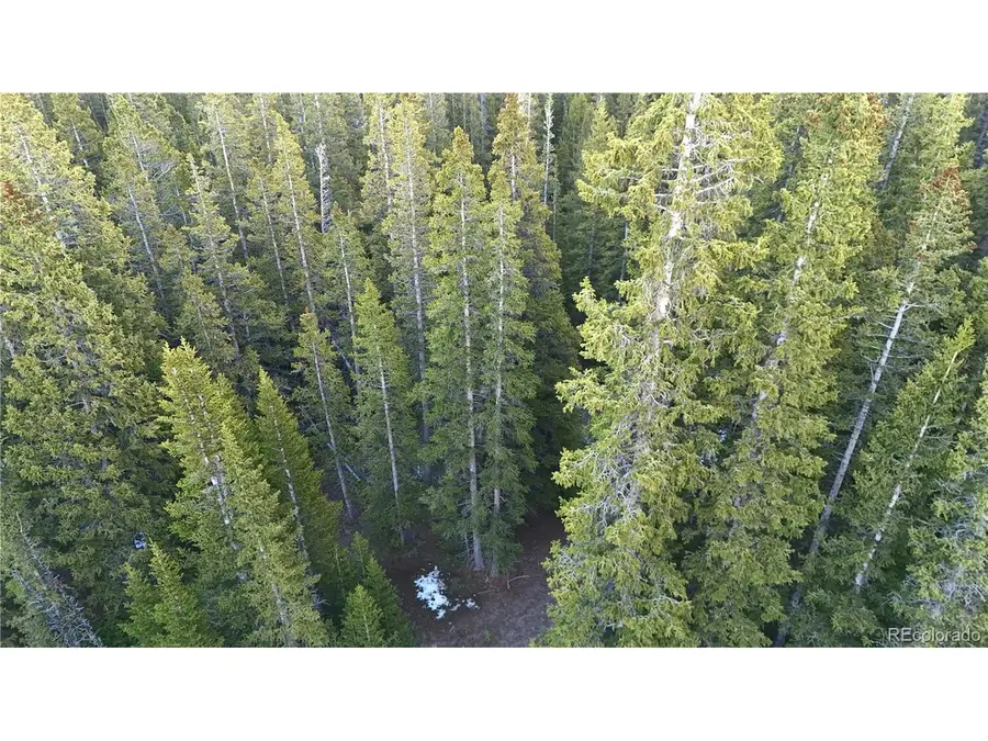 210 Silverheels Pl, Fairplay, CO 80440 - #2
