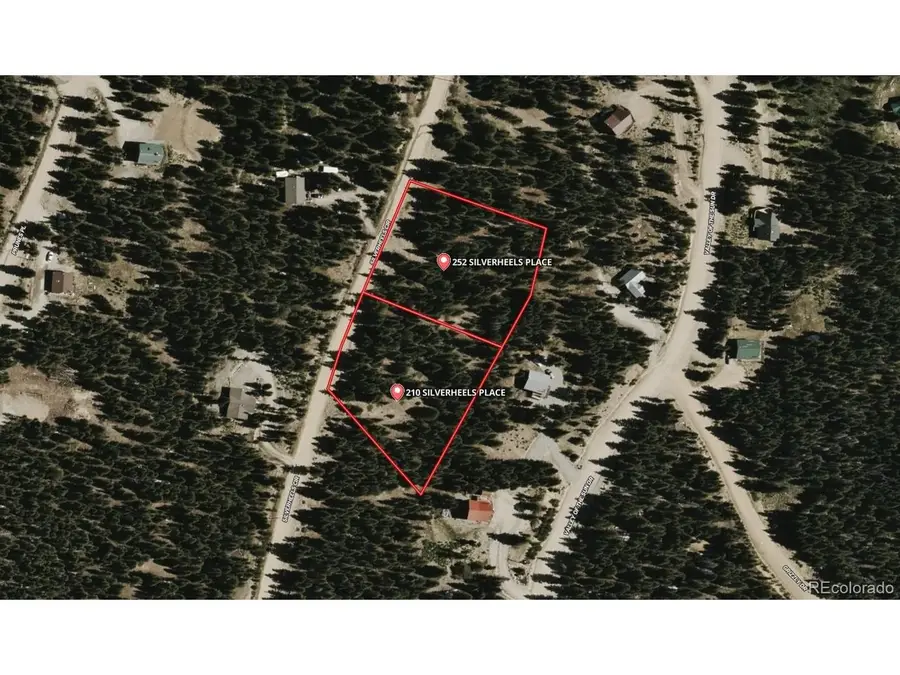 210 Silverheels Pl, Fairplay, CO 80440 - #3