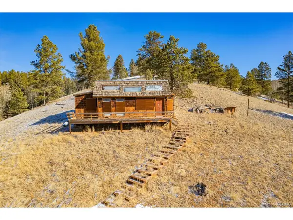 69 Snowberry Creek Rd, Florissant, CO 80816