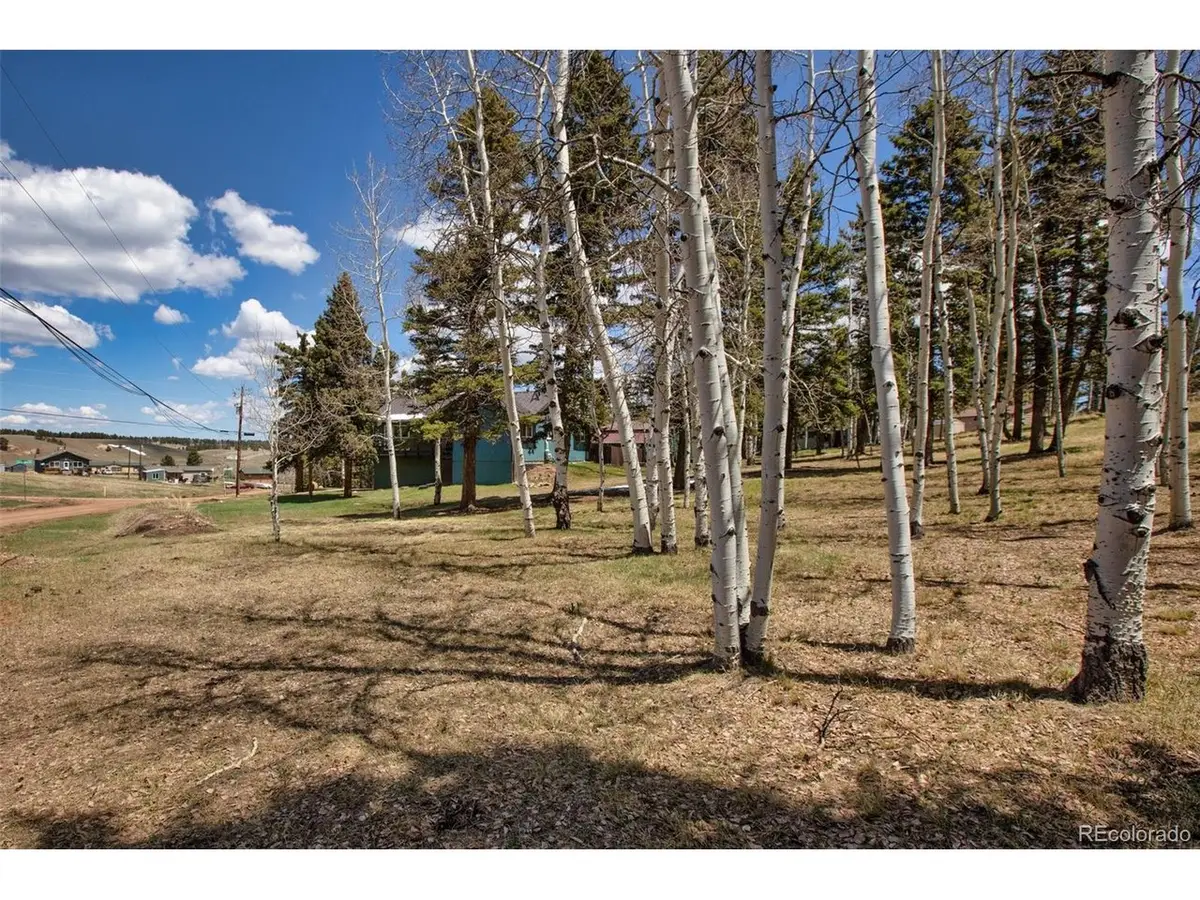 571 Will Scarlet Dr, Divide, CO 80814 - #1