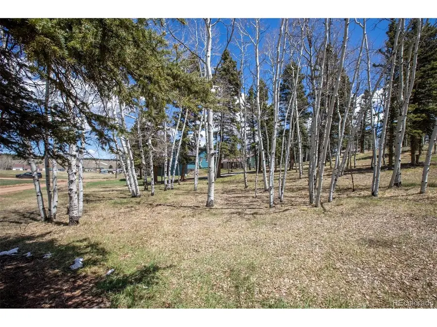 571 Will Scarlet Dr, Divide, CO 80814 - #2
