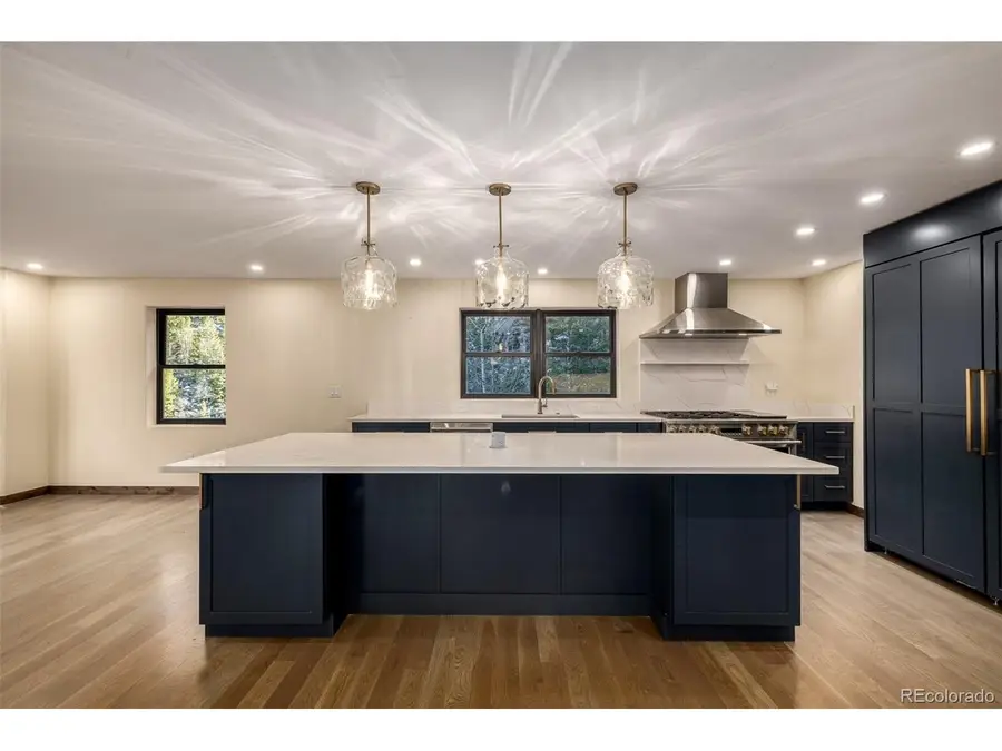 205 Loop Dr, Georgetown, CO 80444 - #3