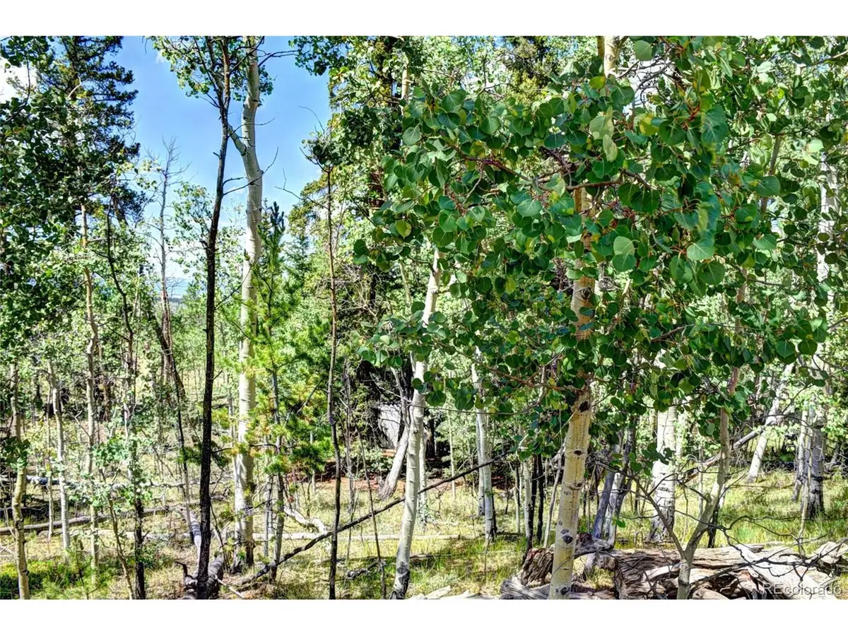 266 Timberline Dr, Guffey, CO 80820 - #1