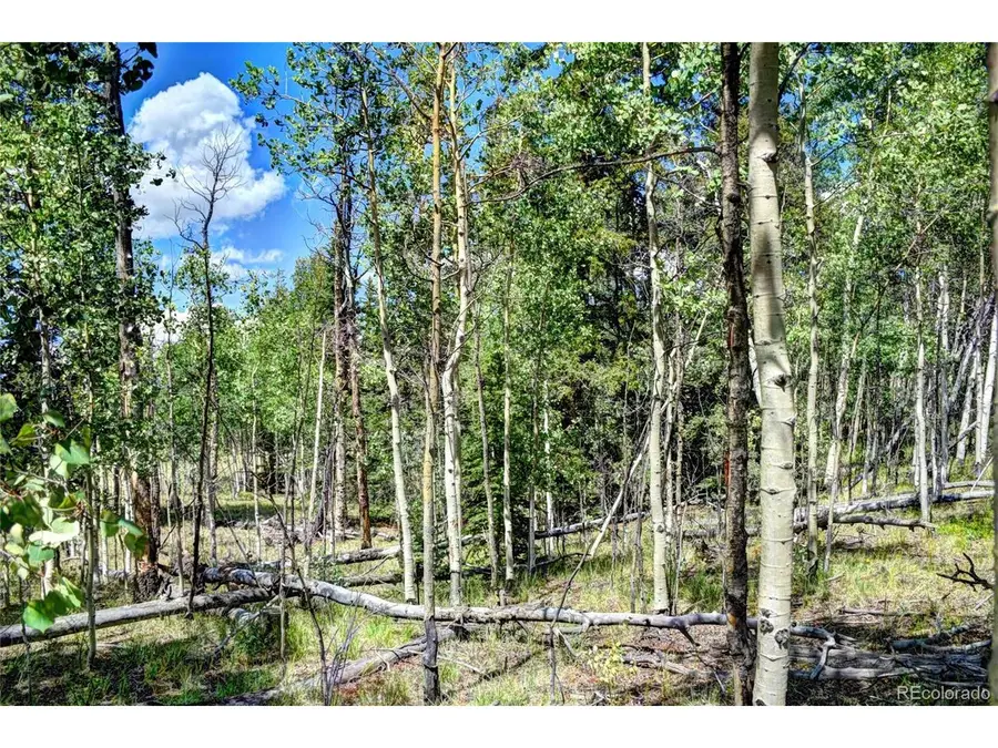 266 Timberline Dr, Guffey, CO 80820 - #3