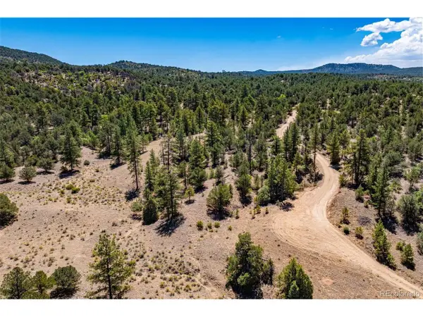 948 White Wing Way, Cotopaxi, CO 81223