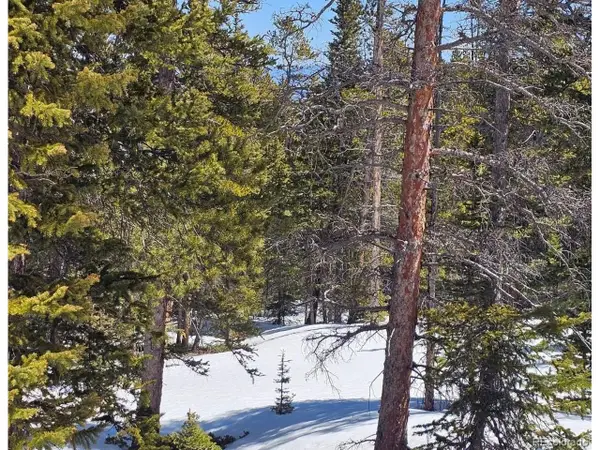 318 El Lobo Ln, Fairplay, CO 80440