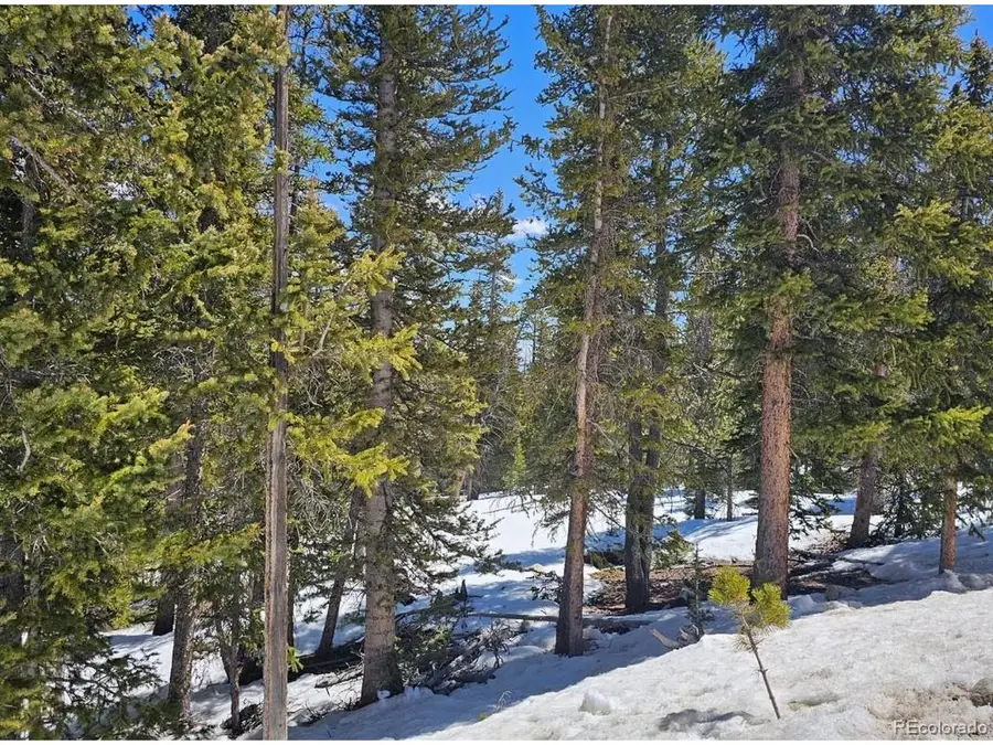 318 El Lobo Ln, Fairplay, CO 80440 - #2