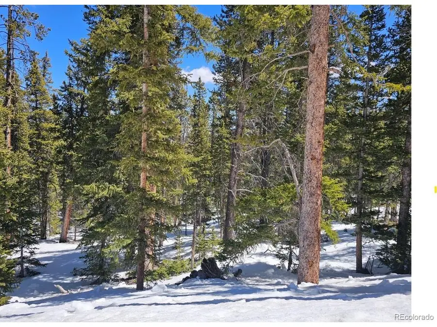 318 El Lobo Ln, Fairplay, CO 80440 - #3
