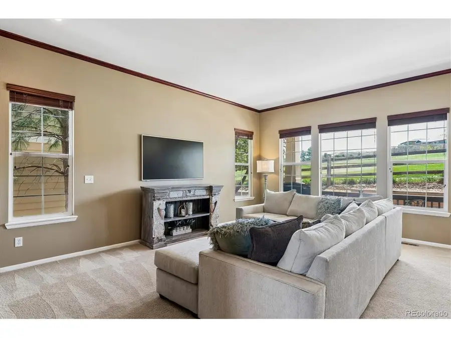 1516 Royal Troon Dr, Castle Rock, CO 80104 - #3