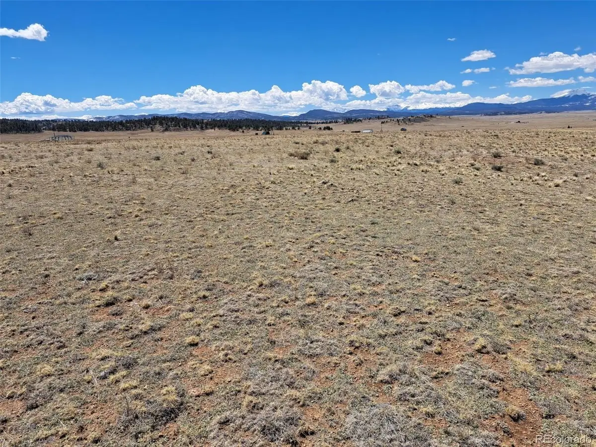 8313 Black Kettle Rd, Hartsel, CO 80449 - #1