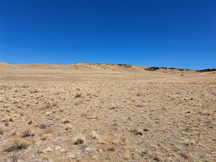 8313 Black Kettle Rd, Hartsel, CO 80449 - #3