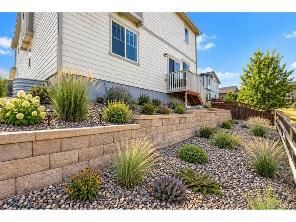 3585 Swabuck Pl, Castle Rock, CO 80109