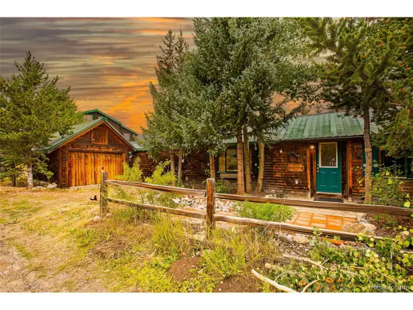 46 Singleton Rd, Alma, CO 80420
