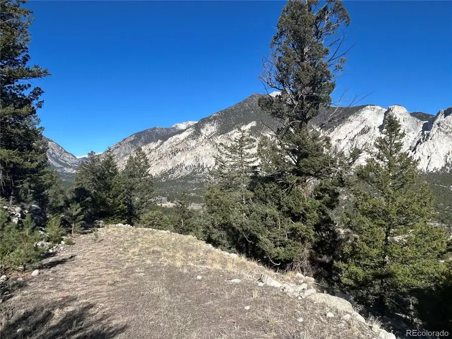 Falcon Dr, Nathrop, CO 81236 - #3