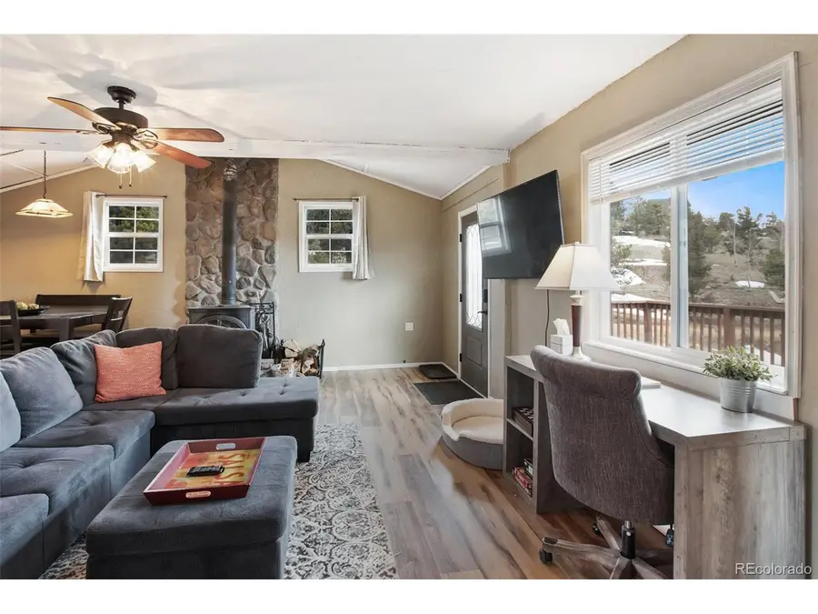 201 Dillon Ln, Florissant, CO 80816 - Image #3