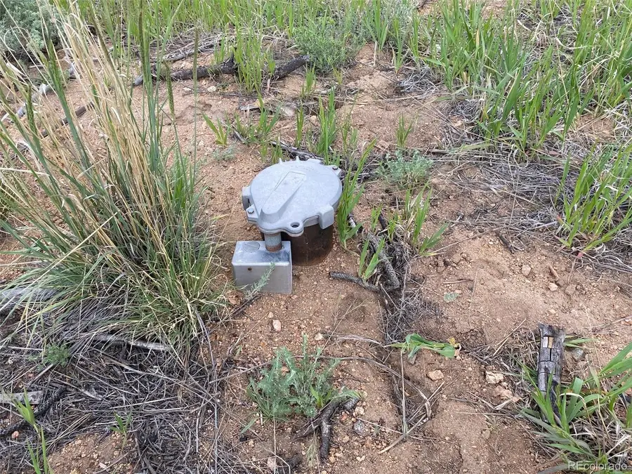 374 Soubry Pl, Fort Garland, CO 81133 - #2