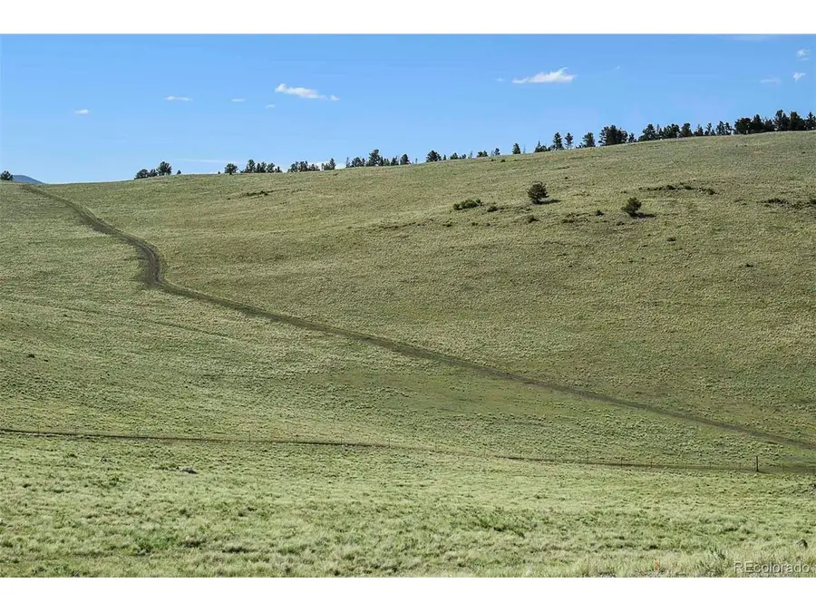 0 Bear Cat Rd, Guffey, CO 80820 - #2